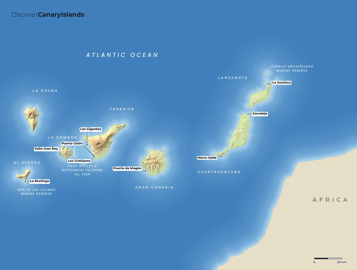 Map. Whale and dolphin watching between Tenerife and La Gomera, with trips from Valle Gran Rey.